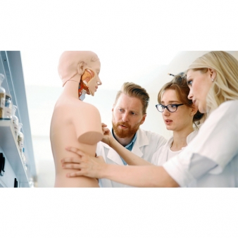 Anatomical Nursing Model